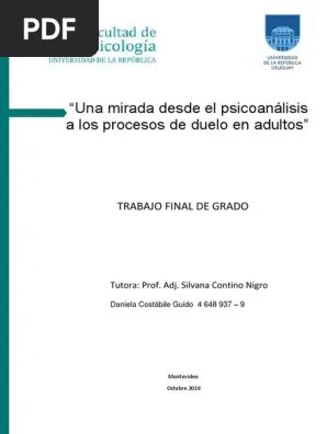 Una mirada desde el psicoanálisis a los procesos de duelo en adultos