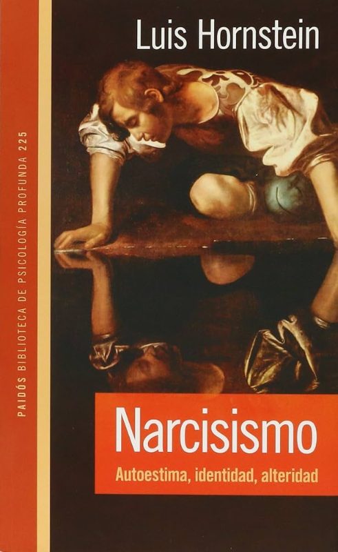 Narcisismo Ideal e identificaciones en psicoanalisis